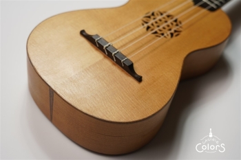 ukulele concert 14 FA.S